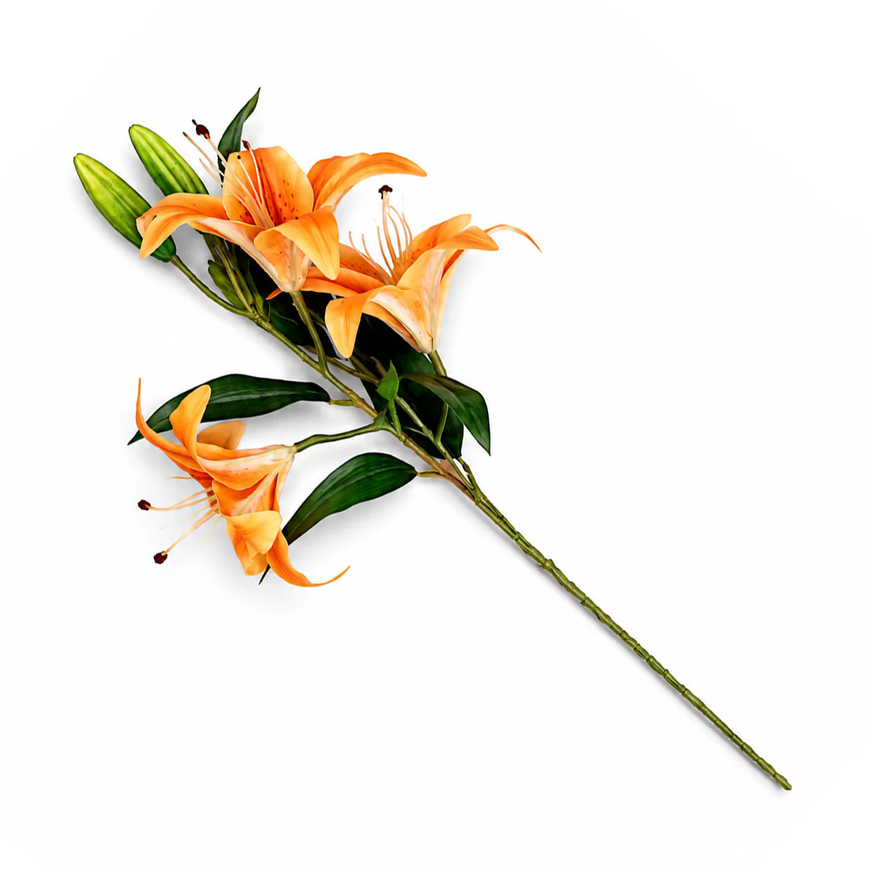 Magnolia Orange Flower Stem - Image 2