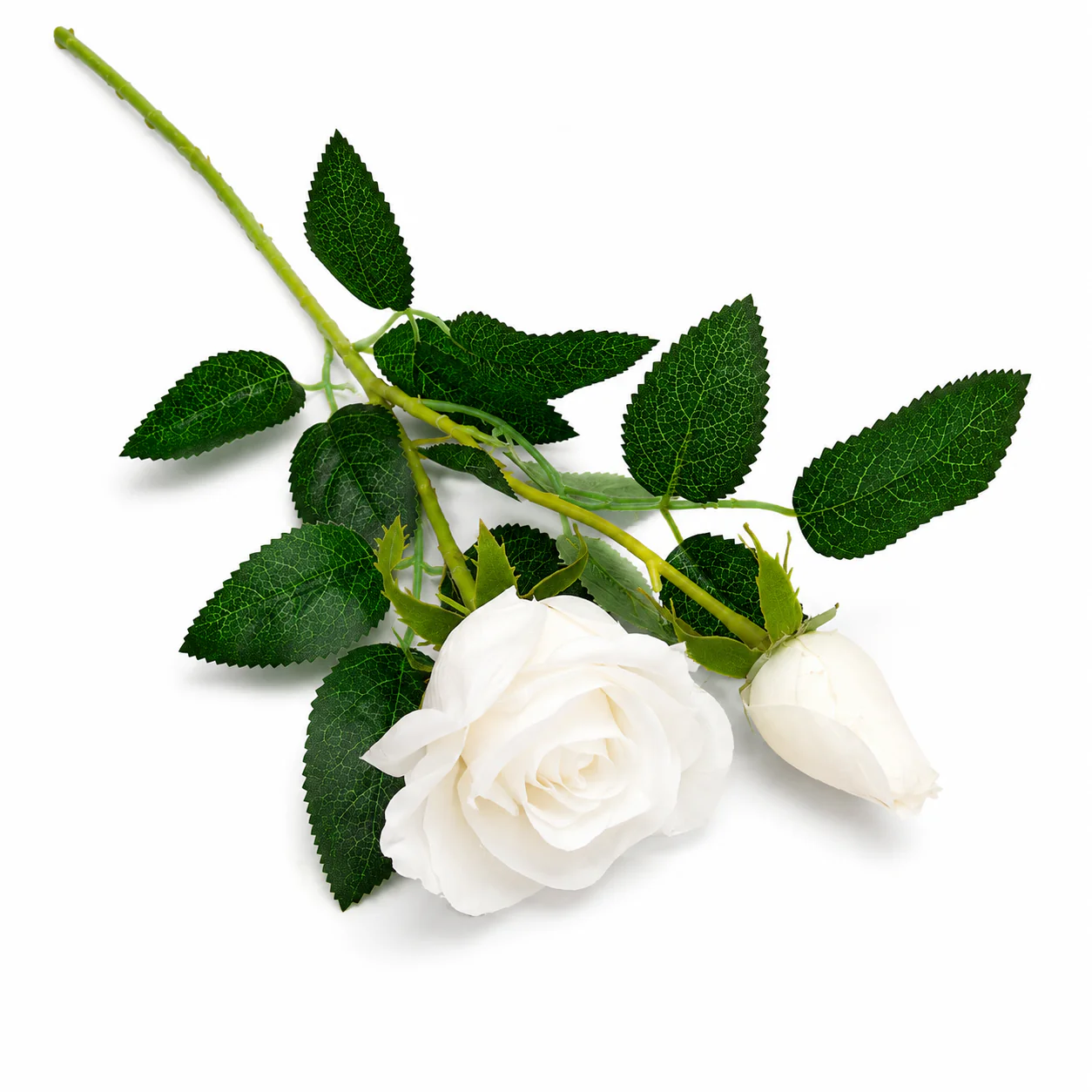 Peony White Stick